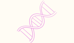 Gene Icon, Rewriting inherited relationship scripts blog